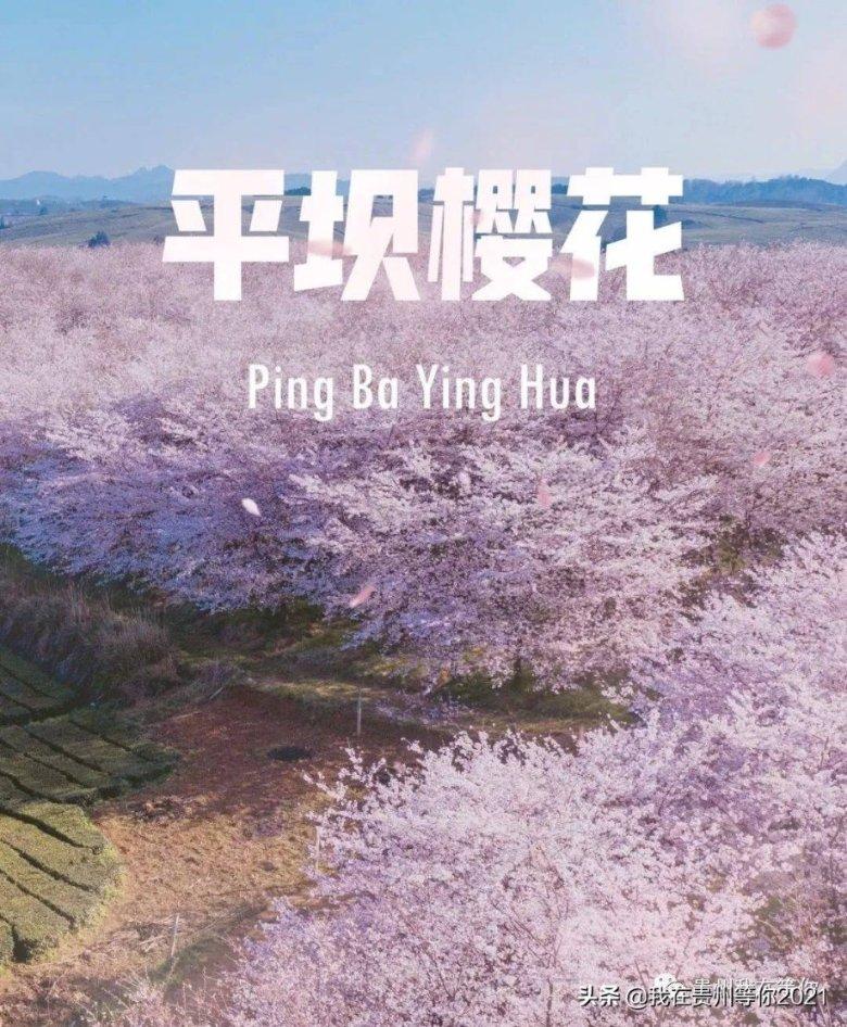 逗小猴开心系列166